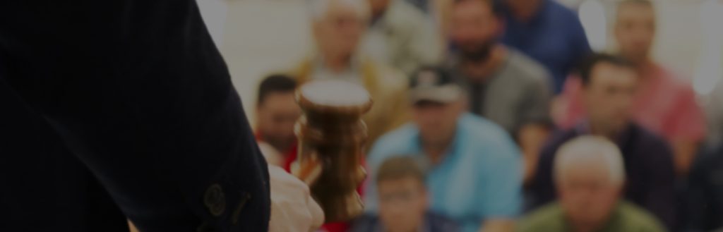 What To Expect At An Auction